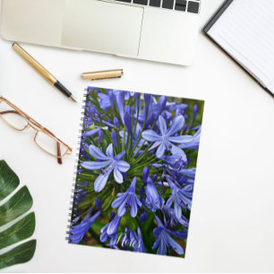 Blue Lily of the Nile Agapanthus Blommigt Anteckningsbok