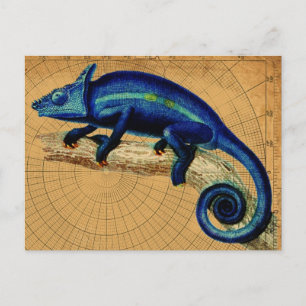 Blue Lizard Vykort