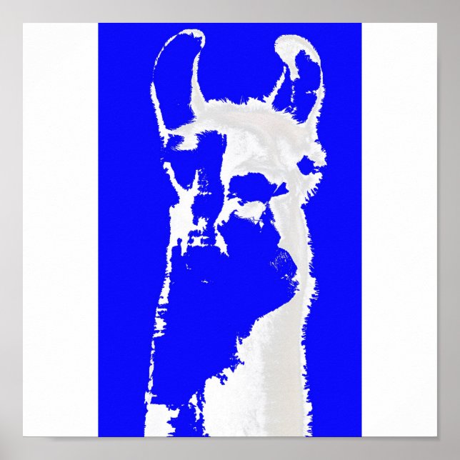 Blue llama poster (Framsidan)