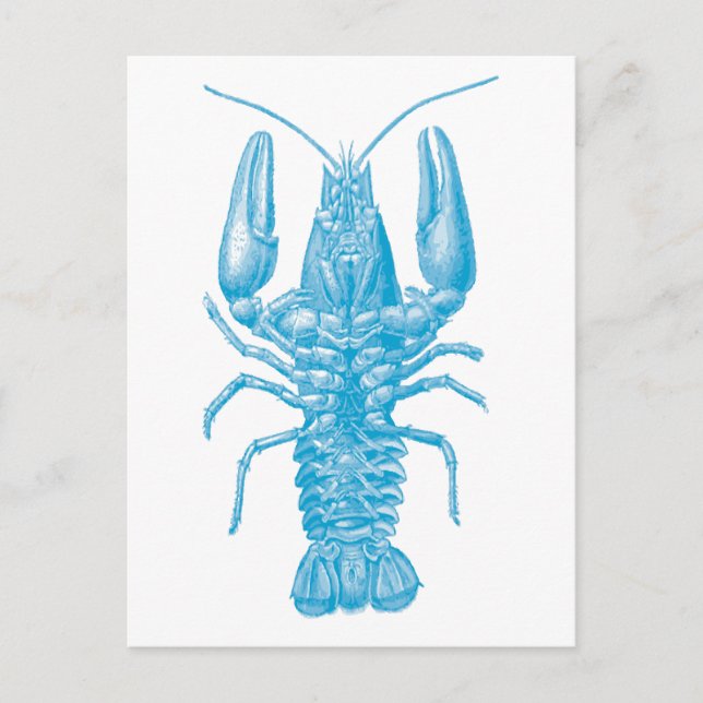 Blue Lobster Vykort (Framsida)
