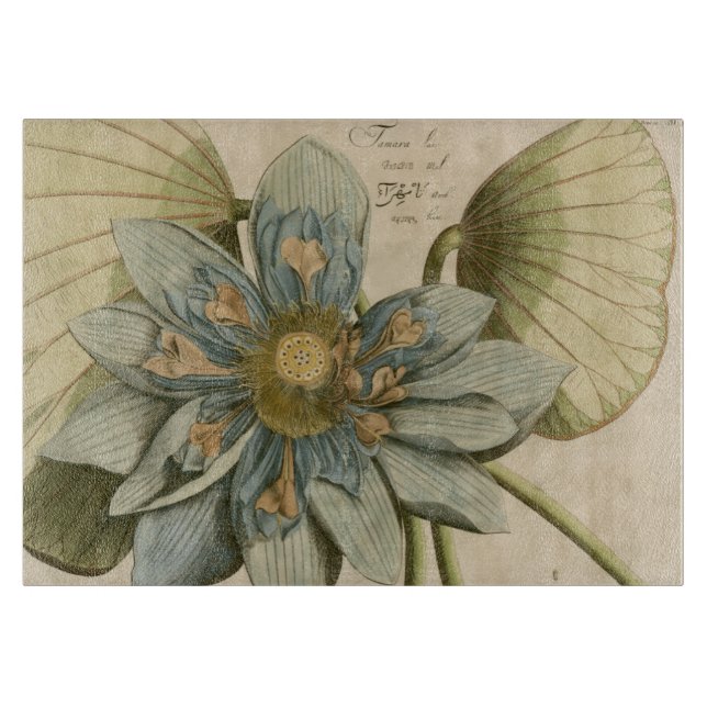 Blue Lotus Flower på Tan Background med Write (Framsidan)