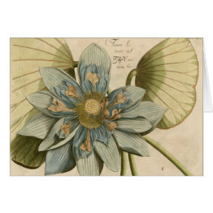 Blue Lotus Flower på Tan Background med Write Hälsningskort