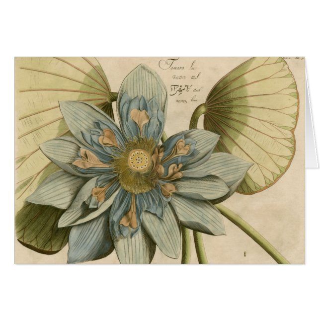 Blue Lotus Flower på Tan Background med Write Hälsningskort (Framsidan Horizontal)