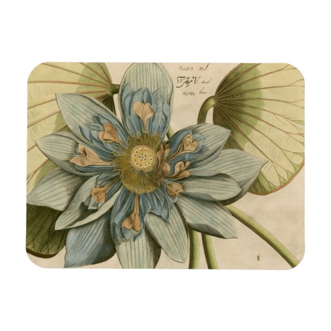 Blue Lotus Flower på Tan Background med Write Magnet (Horisontell)