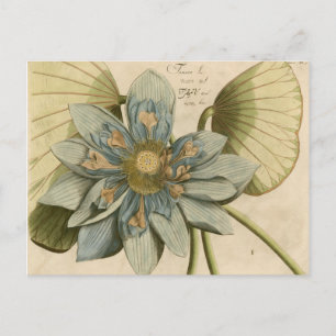 Blue Lotus Flower på Tan Background med Write Vykort
