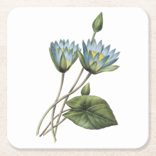 Blue lotus(Nymphaea caerulea) av Redouté Underlägg Papper Kvadrat