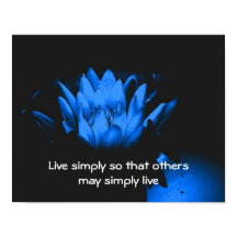 Blue Lotus Simpity inspirationsoffert