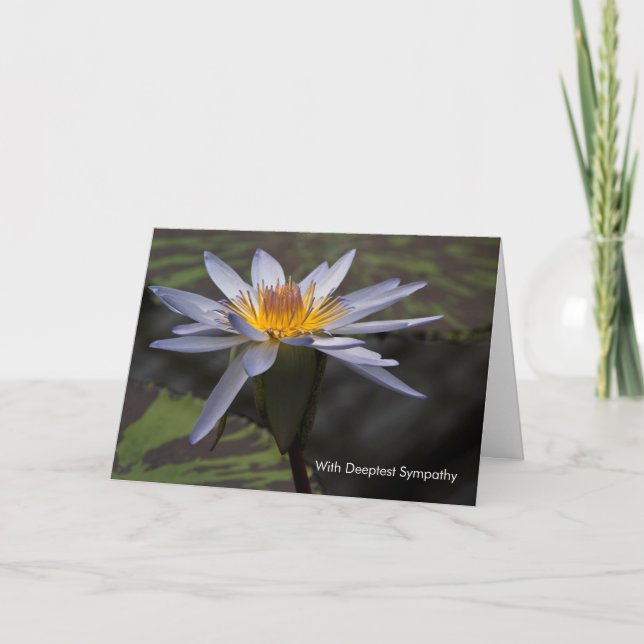 Blue Lotus ・ Sympathy Card Kort (Framsida)