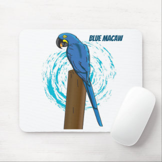 Blue Macaw Musmatta