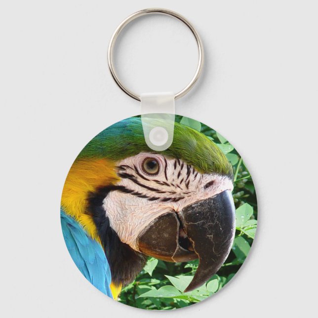 Blue Macaw Parrot Keychain Nyckelring (Framsida)