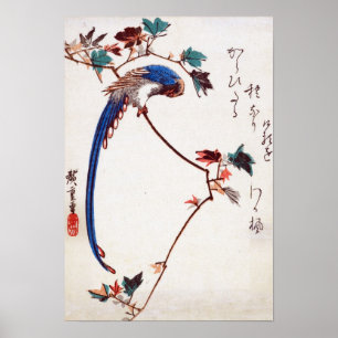 Blue Magpie on Maple Gren by Hiroshige Poster