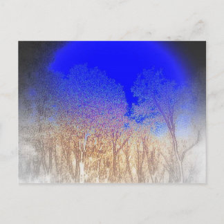 Blue Måne Baby Vykort