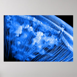 Blue Måne Stigning Poster