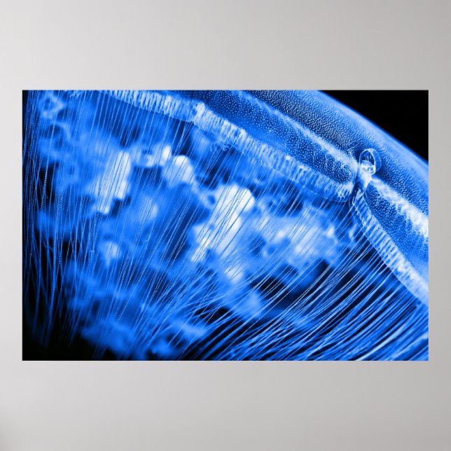 Blue Måne Stigning Poster (Framsidan)