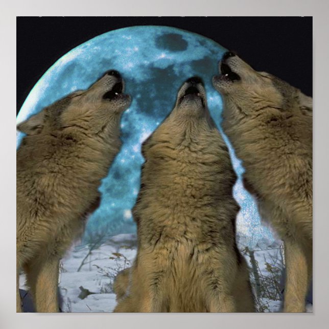 BLUE MÅNE VARG HOWLING KANVASTRYCK POSTER (Framsidan)