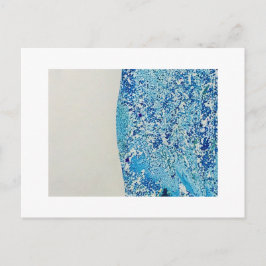 Blue Marble Art Vykort
