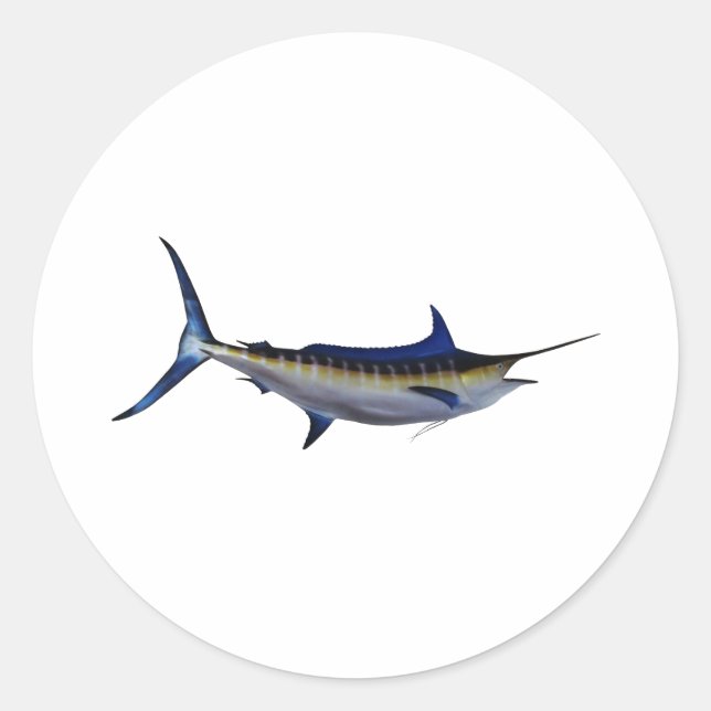 Blue Marlin Fish Runt Klistermärke (Framsida)