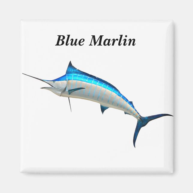 Blue Marlin Game Fish Magnet (Framsidan)