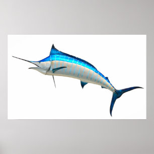 Blue Marlin Game Fish Poster
