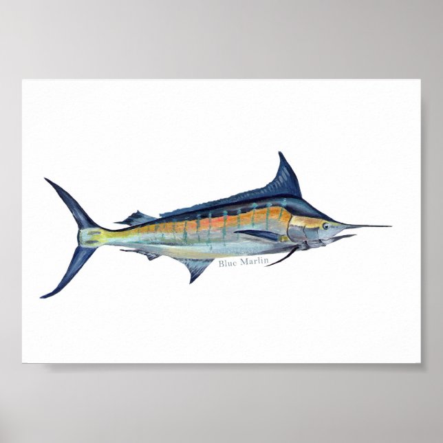 Blue Marlin poster (Framsidan)
