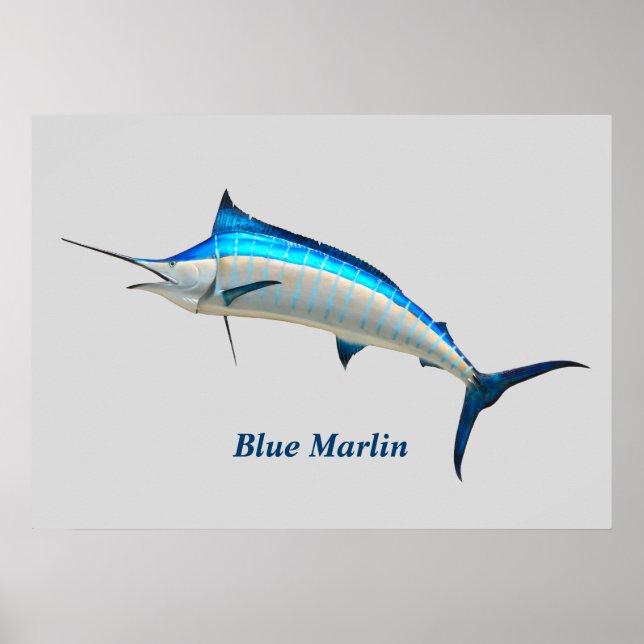 Blue Marlin Poster (Framsidan)