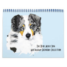Blue Merle Australian shepherd 2 Page M.Calendar