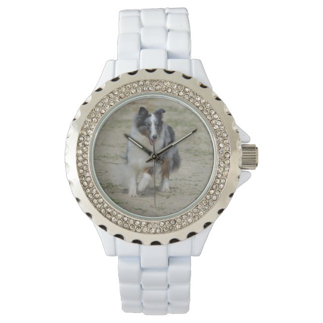 Blue Merle Australian shepherd Armbandsur (Framsida)