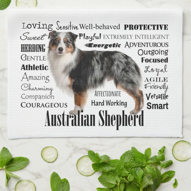 Blue Merle Australian shepherd Kökshandduk (Vikta)
