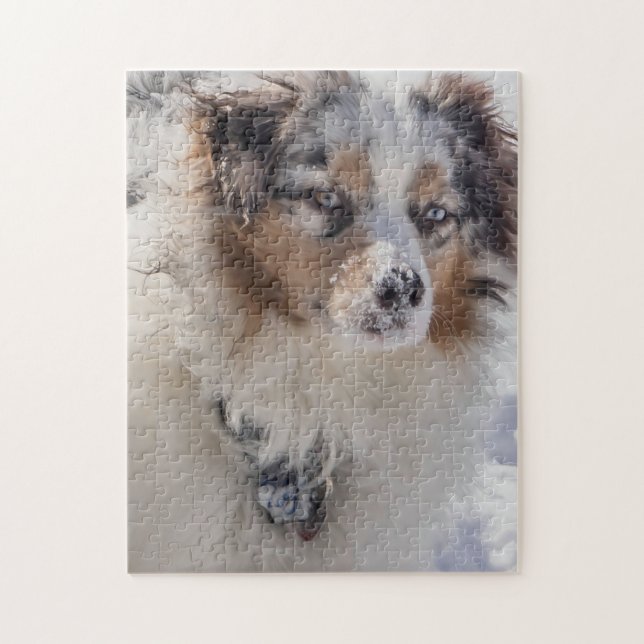 Blue Merle Australian shepherd Pussel (Vertikal)