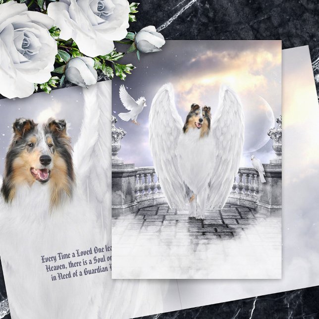 Blue Merle Collie Angel Heaven - Pet Loss Sympathy Kort (Skapare uppladdad)