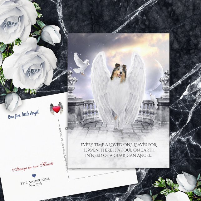 Blue Merle Collie Angel Heaven - Pet Loss Sympathy Vykort (Skapare uppladdad)