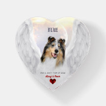 Blue Merle Collie Angel, Himlar - Pet Memorial Hea