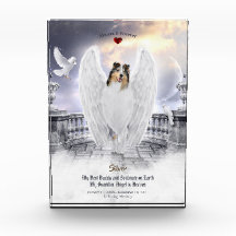 Blue Merle Collie Angel in Heaven - Pet Memorial