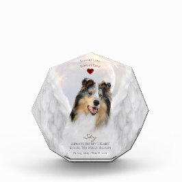 Blue Merle Collie Angel Porträtt - Pet Memorial