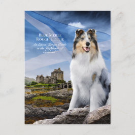 Blue Merle Collie, Eilean Donan & Scottish Flagga Vykort