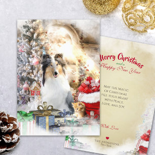 Blue Merle Collie & Kattunge, God jul - kort