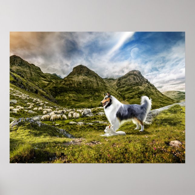 Blue Merle Collie Sheep samlare in Highlands - Poster (Framsidan)
