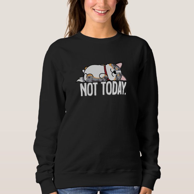 Blue Merle Corgi T Shirt (Framsida)