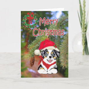 Blue Merle jul Aussie Tecknad Puppy Helgkort