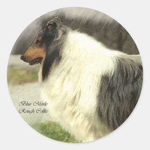 Blue Merle Rough Collie Gifts Runt Klistermärke