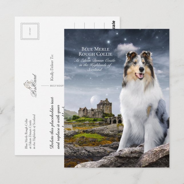 Blue Merle Rough Collie vid Eilean Donan Castle - Vykort (Fram/baksida)