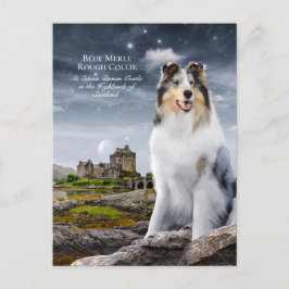 Blue Merle Rough Collie vid Eilean Donan Castle - Vykort