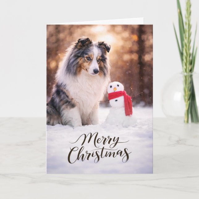 Blue Merle Sheltie Christmas Snowman Helgkort (Framsida)