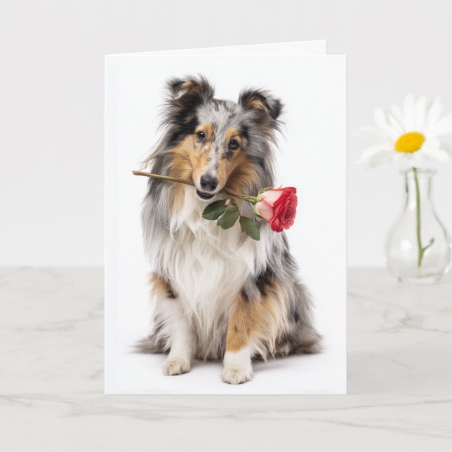 Blue Merle Sheltie Valentine – Gentle Devotion Kort (Liten växt)