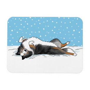 Blue Merle Shetland Sheepdog Sheltie Winter Snö Magnet