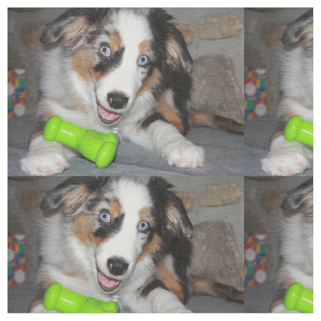 blue merle valp.png tyg (Närbild)