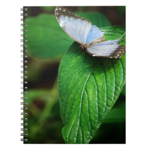 Blue Morpho 112 - bärbar dator Anteckningsbok