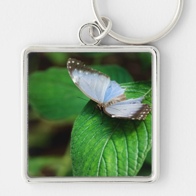 Blue Morpho 112 Keychain Fyrkantig Silverfärgad Nyckelring (Framsidan)