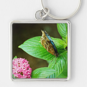Blue Morpho 143 Keychain Fyrkantig Silverfärgad Nyckelring