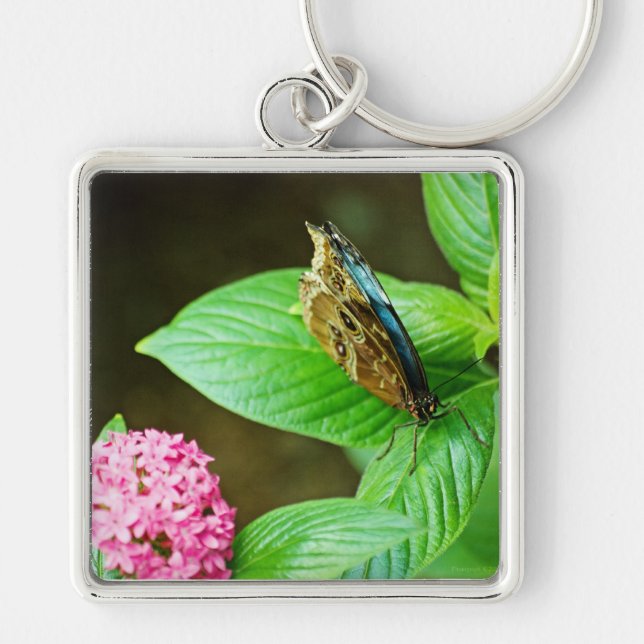 Blue Morpho 143 Keychain Fyrkantig Silverfärgad Nyckelring (Framsidan)